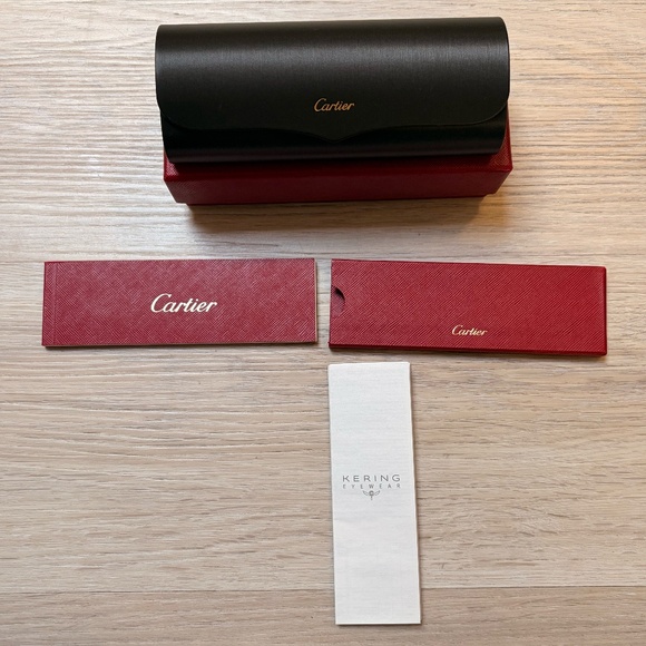 NWT Cartier Santos de Cartier Red Rectangular Gold Frame Ladies Sunglasses main image 8